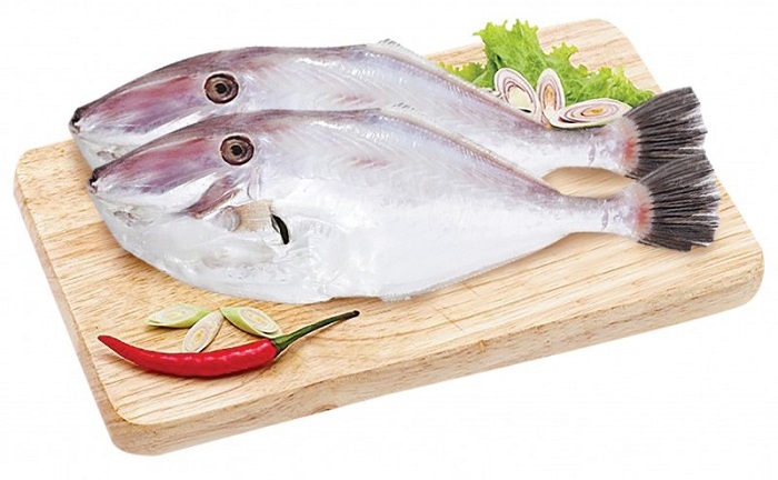Trung Nam sẵn sàng phục vụ mọi đơn hàng cá bò da từ nhỏ đến lớn