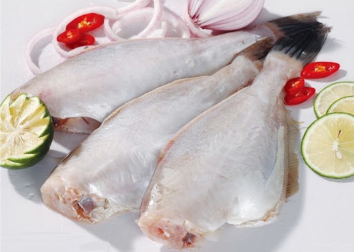 Mua cá bò da giá sỉ, chiết khấu cao cho mọi đơn hàng